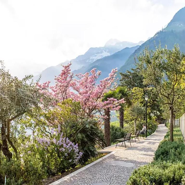 Haus Erlkönig 1 - Appartamento con 1 Camera da Letto - 21