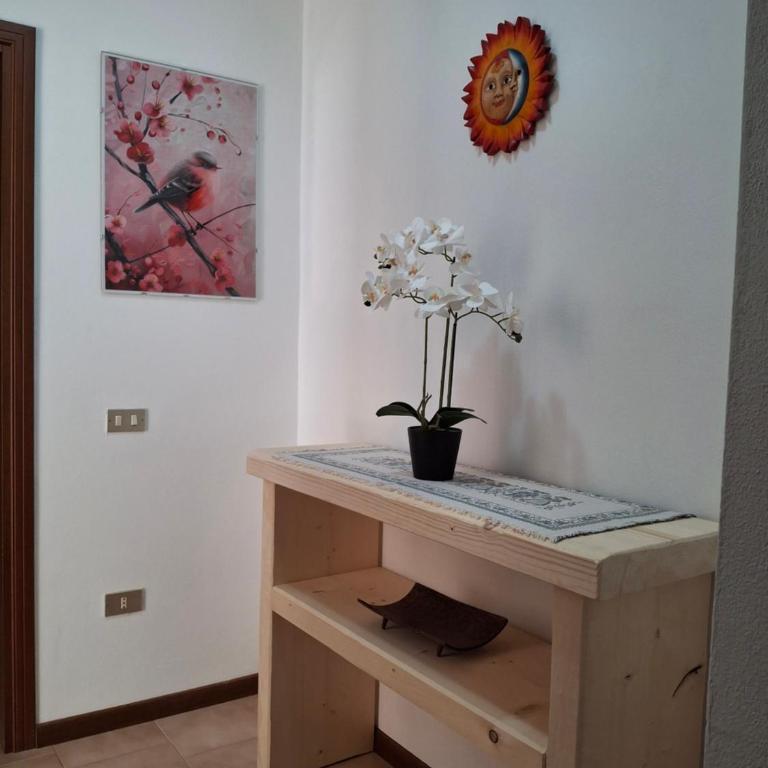 Appartamento Felis - Apartamento de 2 dormitorios - 2