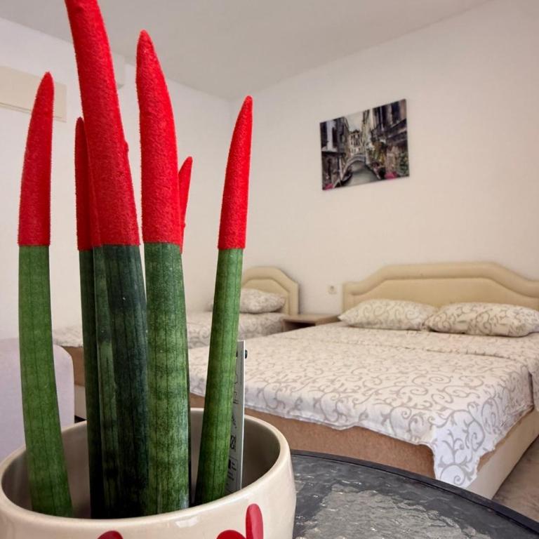 Apartmani PERICIC SUTOMORE NEW HOUSE - Studio avec Terrasse - 6