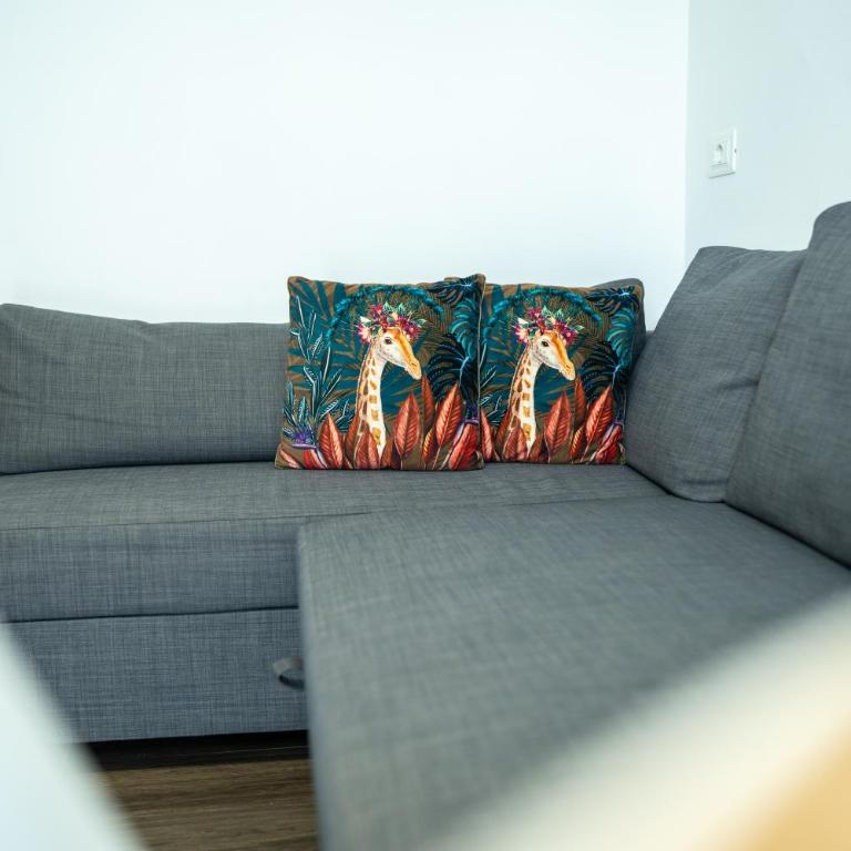 Allen apartments - Appartamento - 18