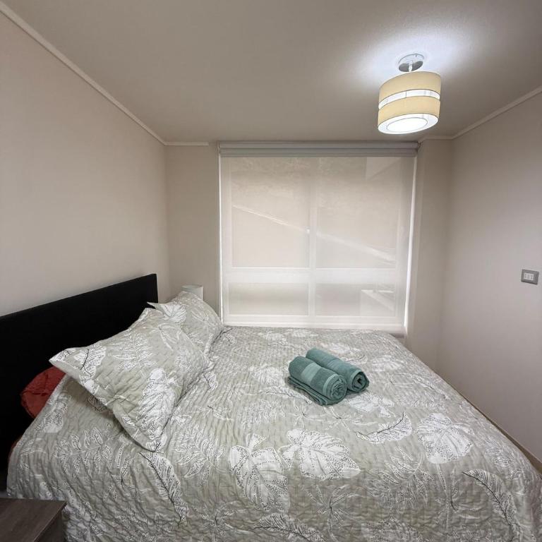 Departamento en Viña del Mar - One-Bedroom Apartment - 3