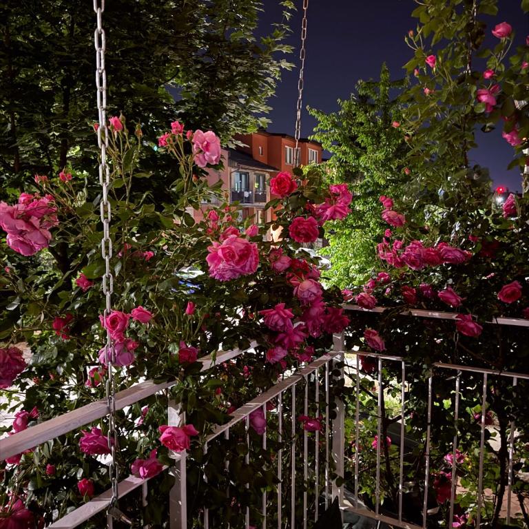 Rose Nest Airport Apartment - Balcony - Free Parking - Apartment - 22