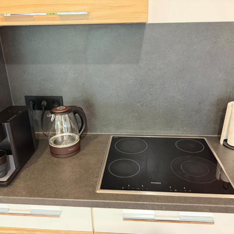 Suite Orchidee - SalzkammerNest - Apartment mit 1 Schlafzimmer - 19