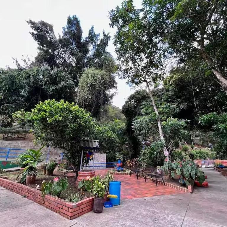 Confort y Estilo- Nuevo Frente al Bosque Encantado - Apartamento de 2 dormitorios - 33