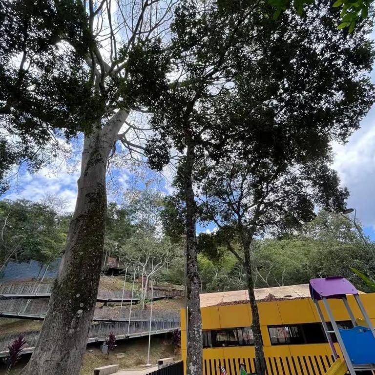Confort y Estilo- Nuevo Frente al Bosque Encantado - Apartamento de 2 dormitorios - 39