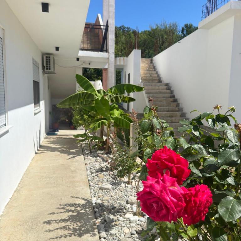 Medo - Apartman - Prizemlje - 6