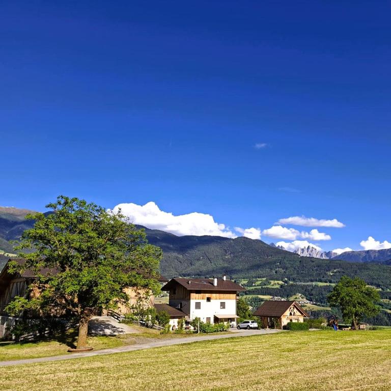 Praterhof Chalet in Südtirol - Natur, Ruhe & Bergblick - Apartment mit 1 Schlafzimmer - 1