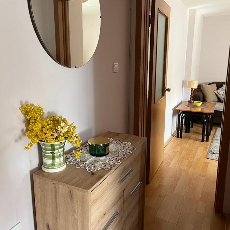Apartman Mili-Roda - Apartman sa 1 Spavaćom Sobom - 4