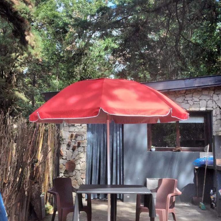 Mi lugar en el mundo - One-Bedroom House - 9