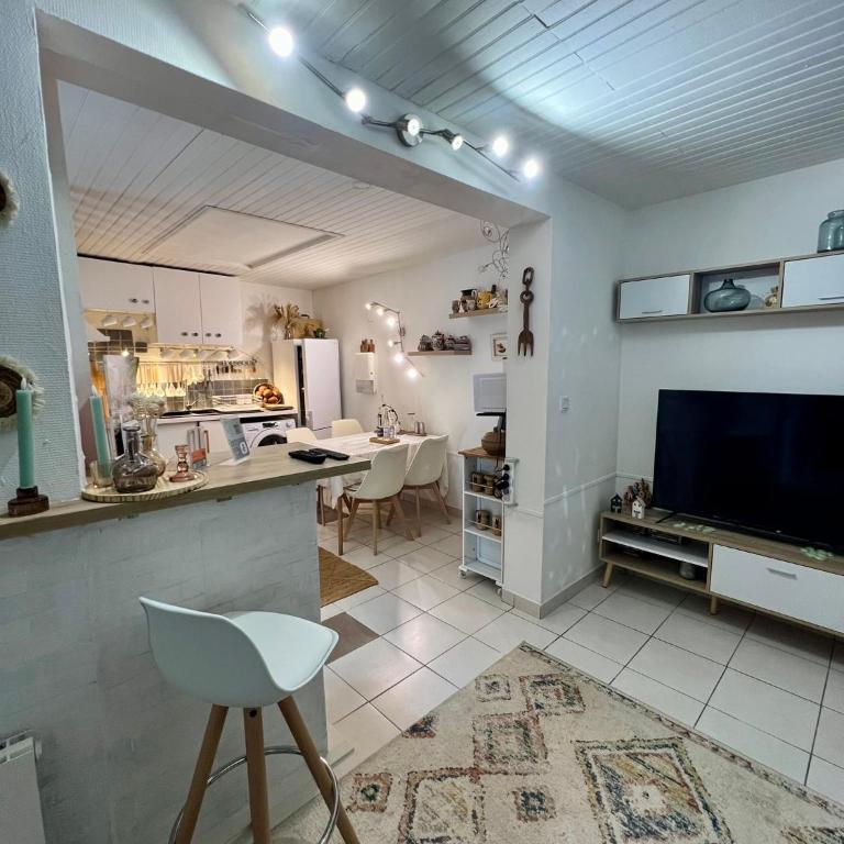 Charmant appartement au cœur de Vichy - Appartement 2 Chambres - 2