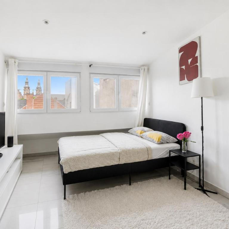 Studio Très Jolie & Frais avec Ventilateur, PARKING Privé Gratuit, MULHOUSE centre - Apartamento de 1 dormitorio - 4