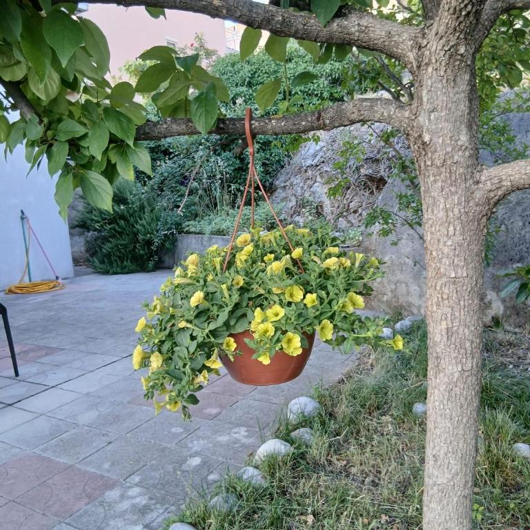 Apartment Rest Mostar Zalik - Apartman sa 3 Spavaće Sobe i Balkonom - 17