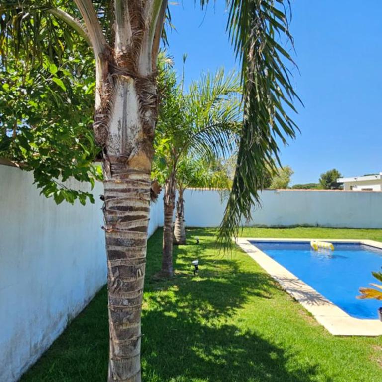 Las Casitas de la Barrosa con jardín y piscina - Maison de Vacances - 45
