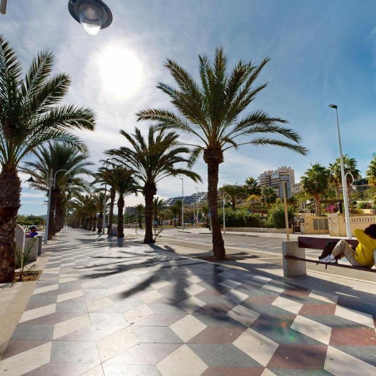 233 Mirasol Galatea - Apartamento - 46
