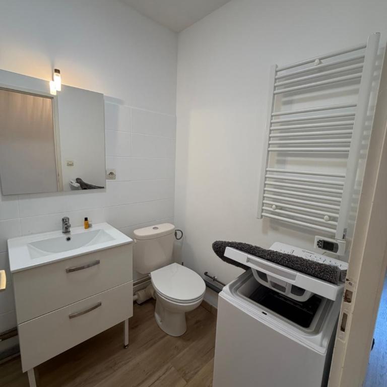 Appartement Dijon-centre quartier Montchapet - One-Bedroom Apartment - 15