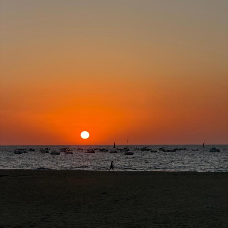Alquiler del Sur - Apartamento de 2 dormitorios - 11