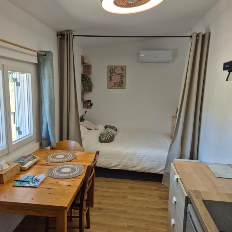 Studio climatisé avec jardin proche plages - One-Bedroom Apartment - 2