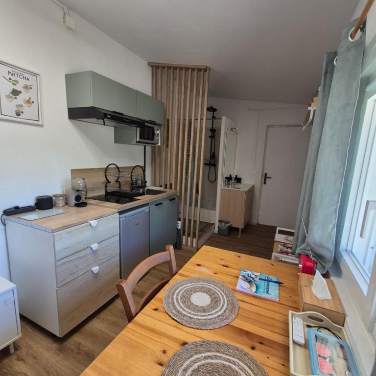 Studio climatisé avec jardin proche plages - One-Bedroom Apartment - 3