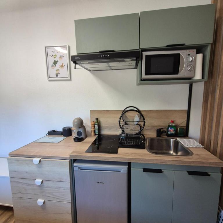 Studio climatisé avec jardin proche plages - One-Bedroom Apartment - 6