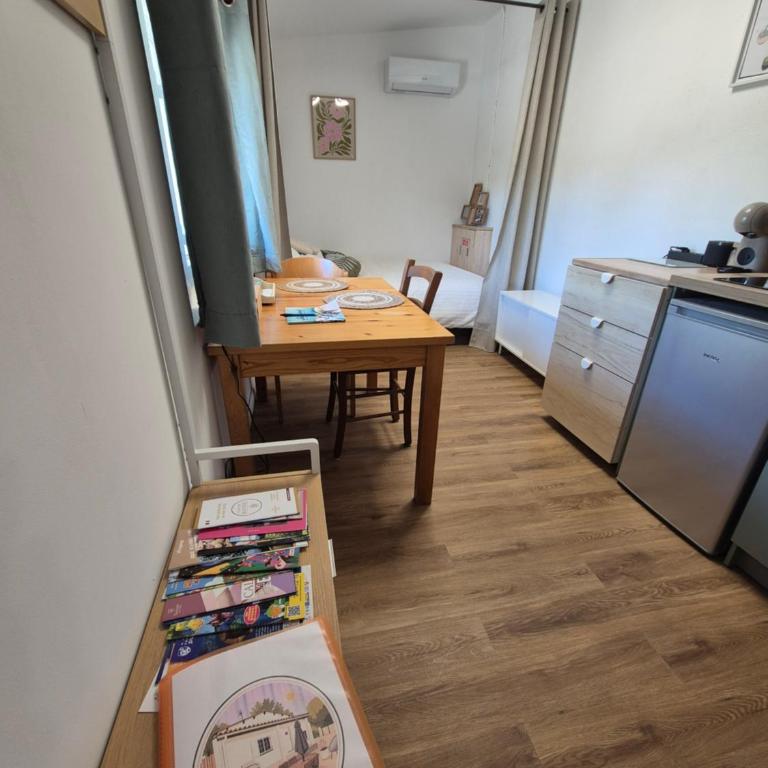 Studio climatisé avec jardin proche plages - One-Bedroom Apartment - 4