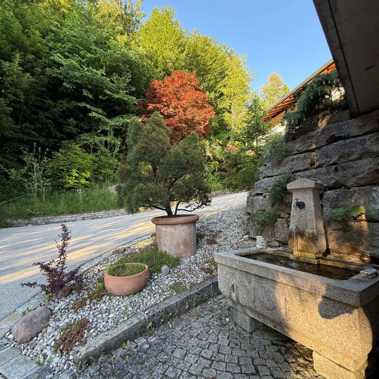 Haus am Mitterbach - Apartment mit Terrasse - 12