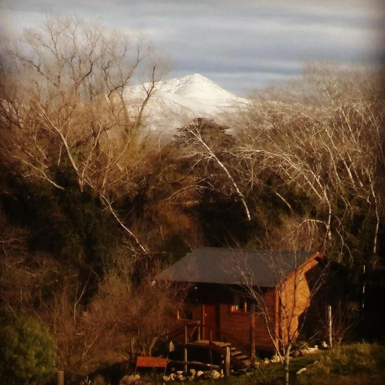 Cabaña Arrabal - Chalet de 1 dormitorio - 4