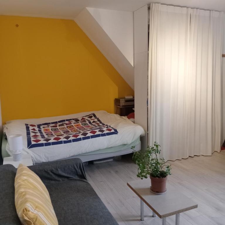 studio refait à neuf avec jardin partagé - Apartment mit 1 Schlafzimmer - 7