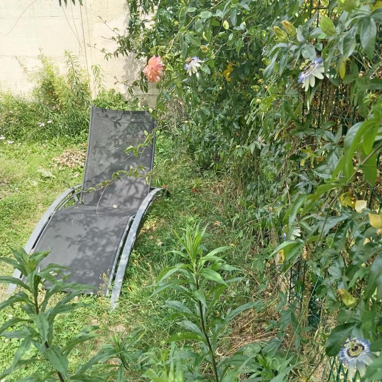 studio refait à neuf avec jardin partagé - Apartment mit 1 Schlafzimmer - 11