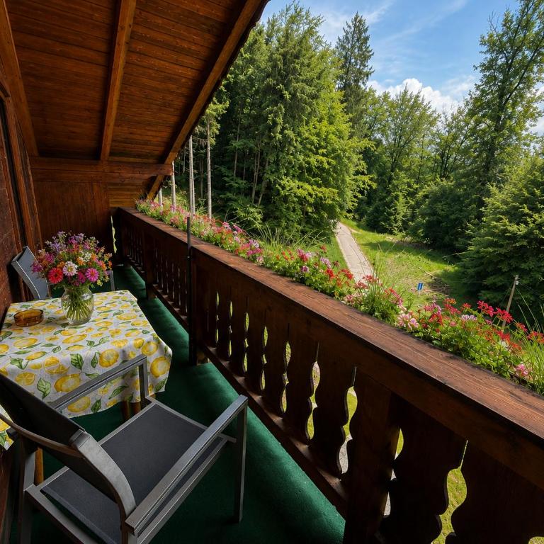Ferienwohnung Bischofshäusl - Apartment mit Balkon - 1