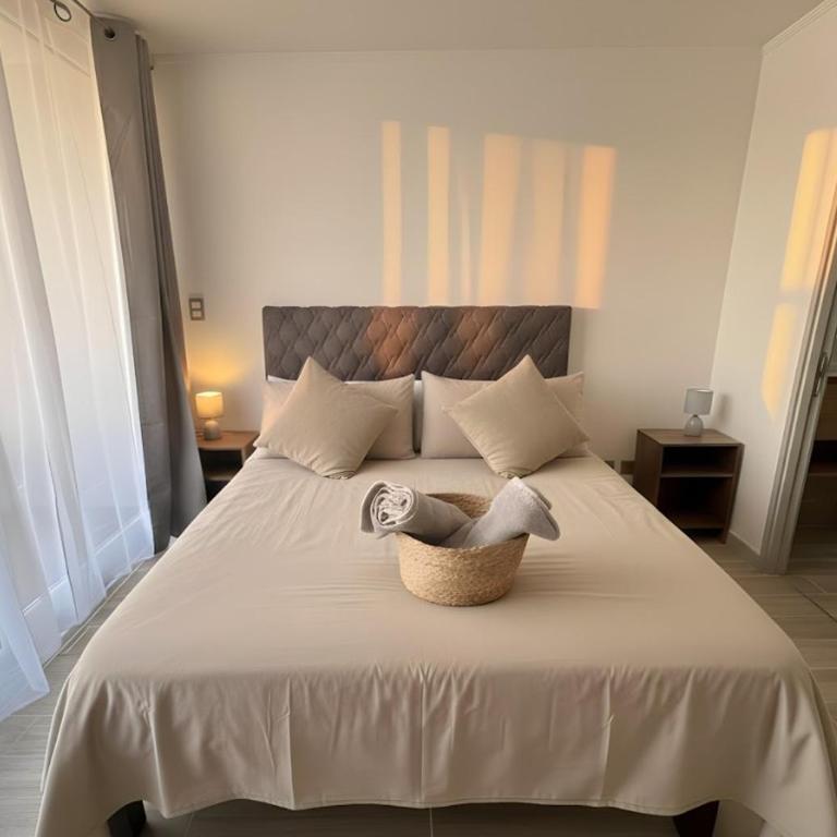 2H2B I Movistar Arena y Parque Ohiggins I Estacionamiento - Two-Bedroom Apartment - 3