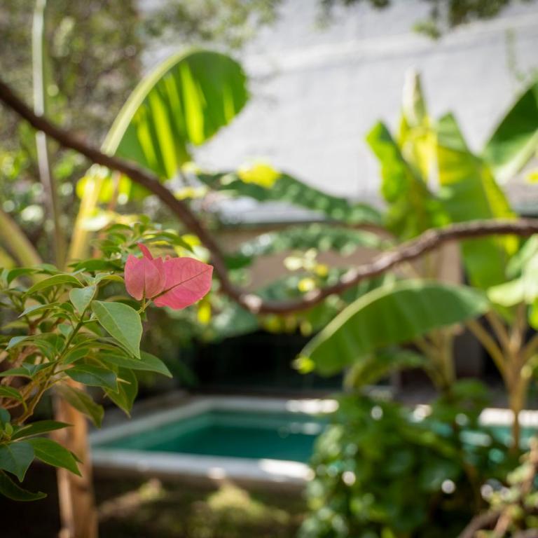 Casa El Jardín Centro Histórico - Apartamento de 1 dormitorio - 8