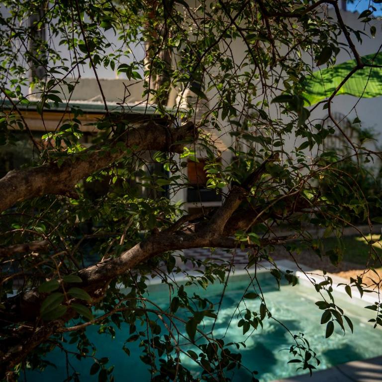 Casa El Jardín Centro Histórico - Apartamento de 1 dormitorio - 24