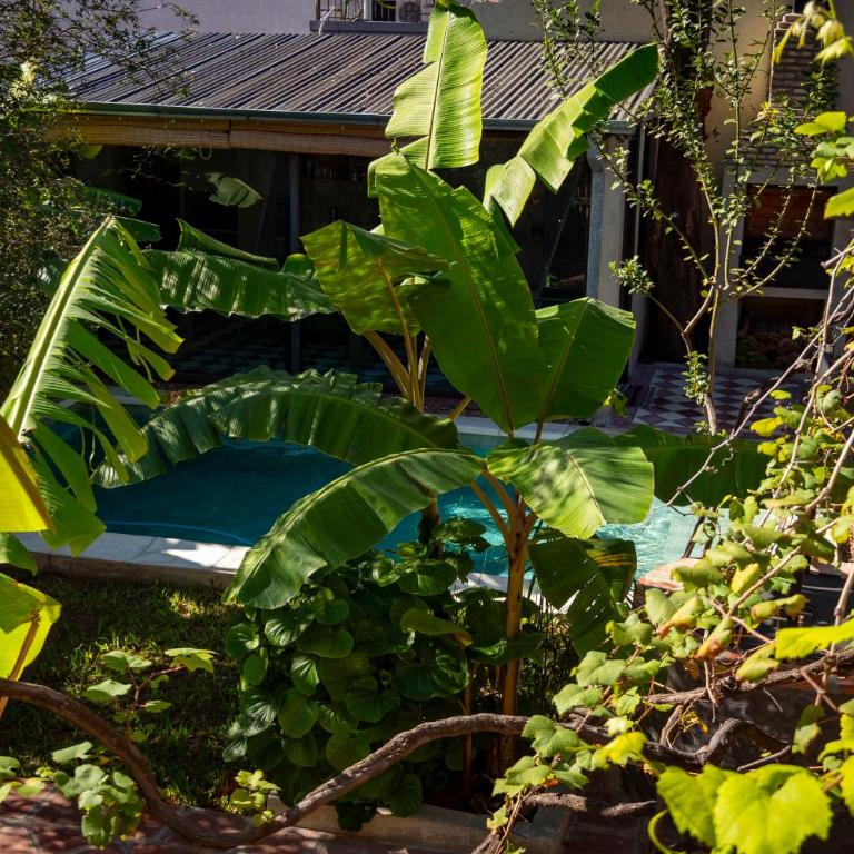 Casa El Jardín Centro Histórico - Apartamento de 1 dormitorio - 27