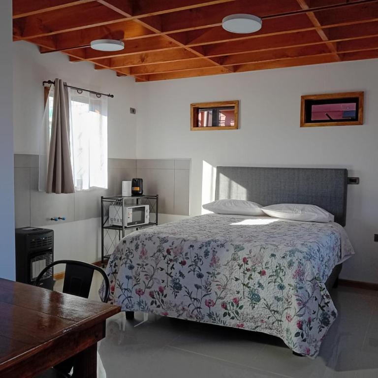 Pyramidal Park Valdivia - Chalet de 1 dormitorio - 2