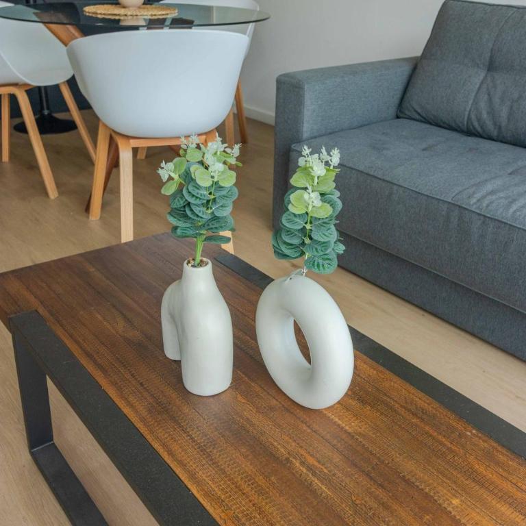 Espectacular apartamento a estrenar Punta Carretas - Apartamento - 17
