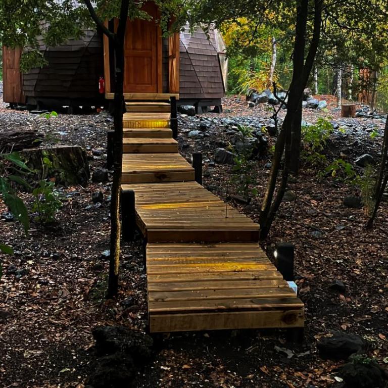 Lodge Domos Awen - Vacation Home - 28