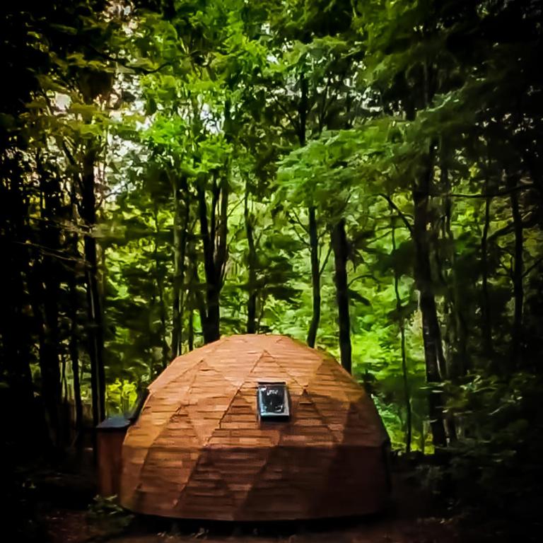 Lodge Domos Awen - Vacation Home - 1