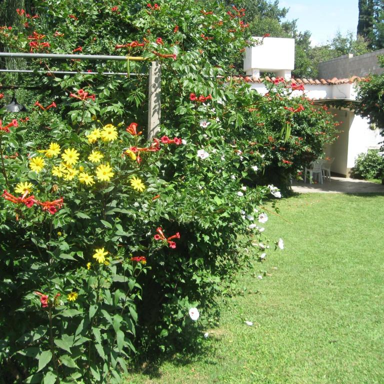 La casa de Almirall - Vacation Home - 34