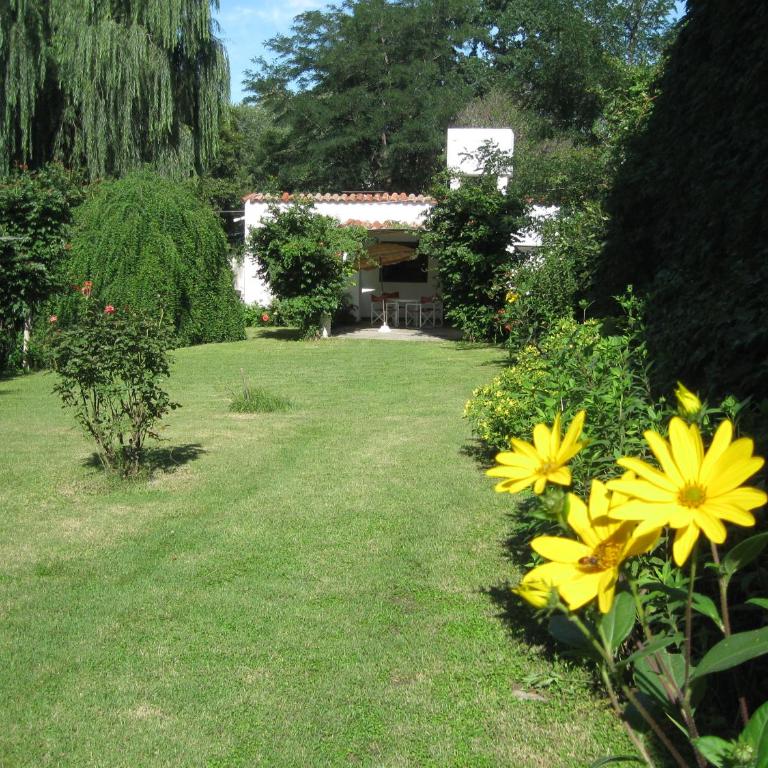 La casa de Almirall - Casa - 40