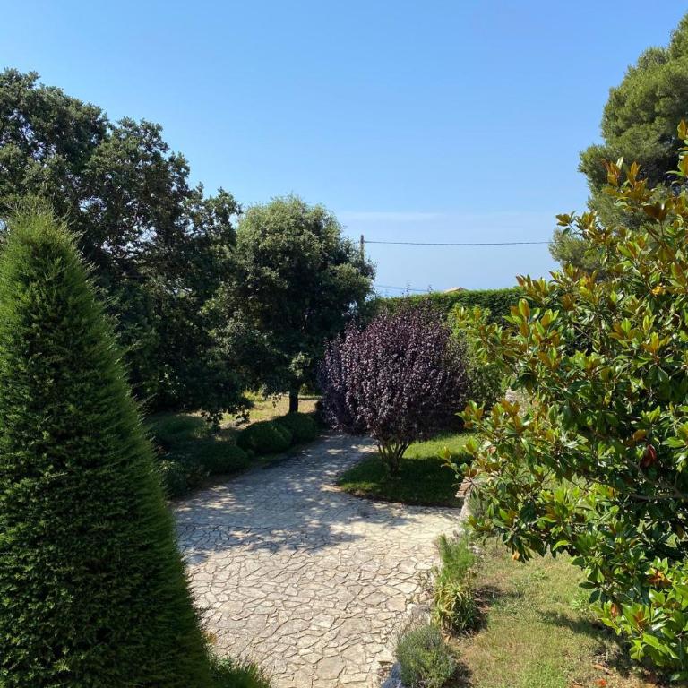 Magnifique Villa Nice - Villefranche - Villa - 3
