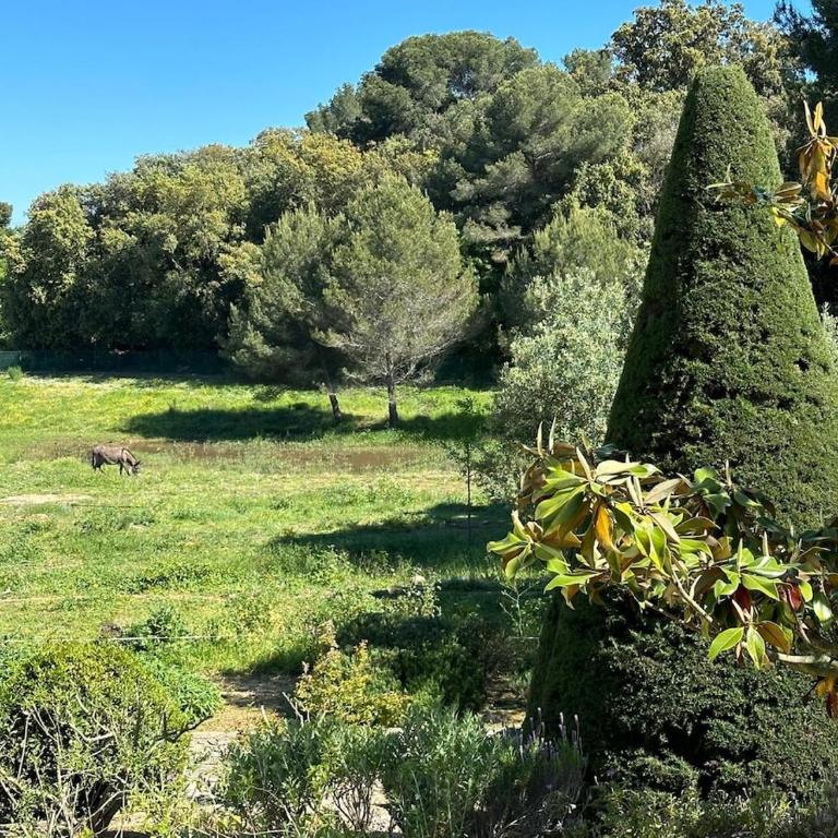 Magnifique Villa Nice - Villefranche - Villa - 5