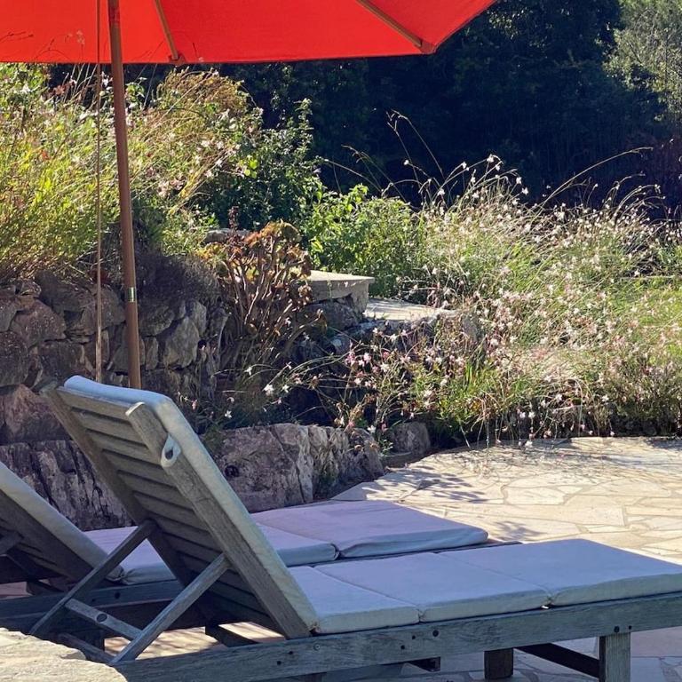 Magnifique Villa Nice - Villefranche - Villa - 6