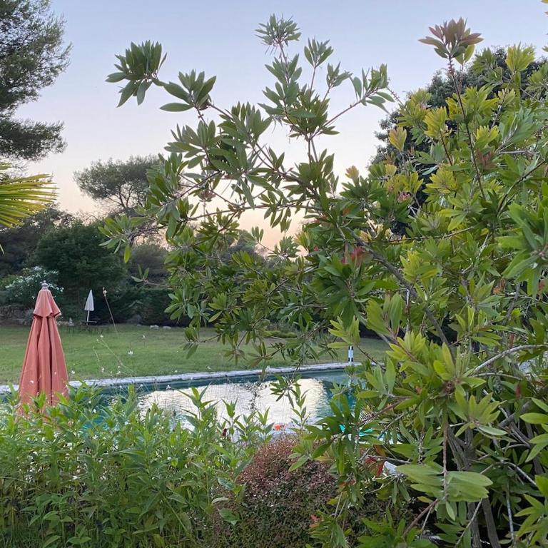 Magnifique Villa Nice - Villefranche - Villa - 7