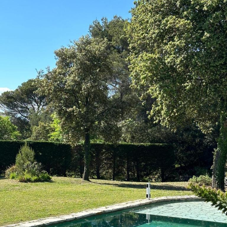 Magnifique Villa Nice - Villefranche - Villa - 8