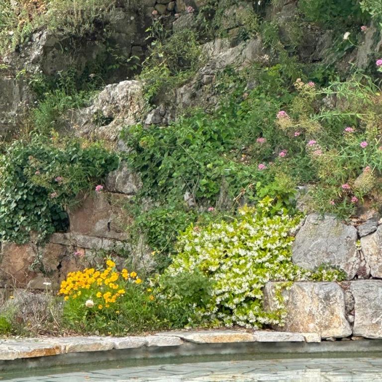 Magnifique Villa Nice - Villefranche - Villa - 10
