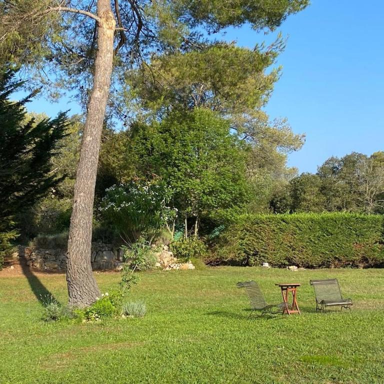 Magnifique Villa Nice - Villefranche - Villa - 13