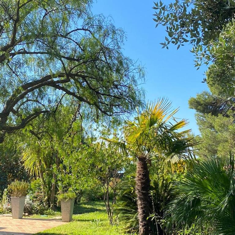 Magnifique Villa Nice - Villefranche - Villa - 17