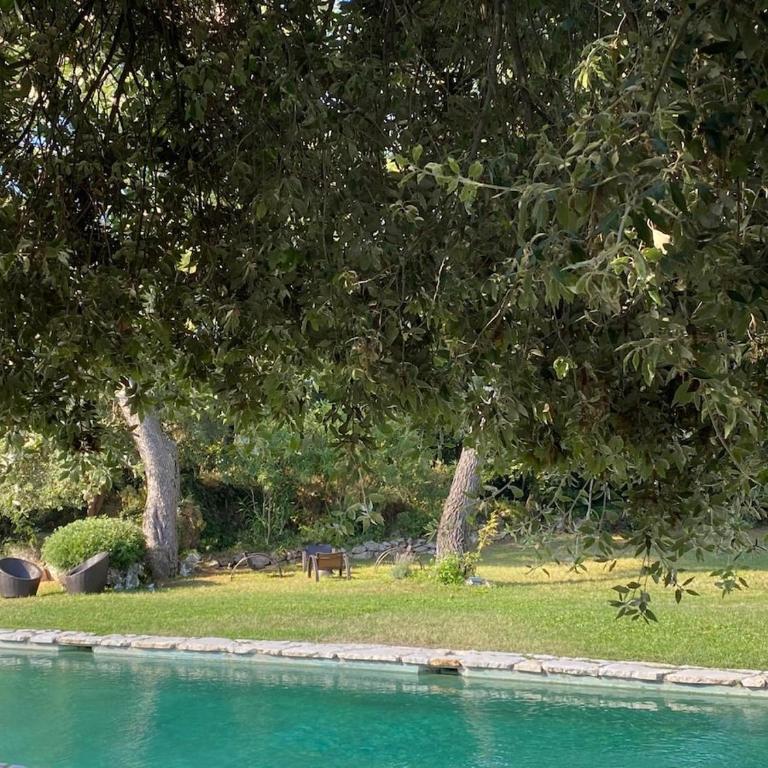 Magnifique Villa Nice - Villefranche - Villa - 27