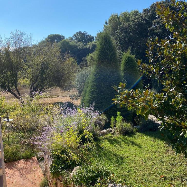 Magnifique Villa Nice - Villefranche - Villa - 32