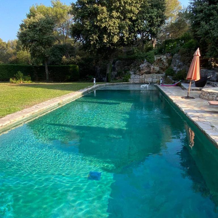 Magnifique Villa Nice - Villefranche - Villa - 42